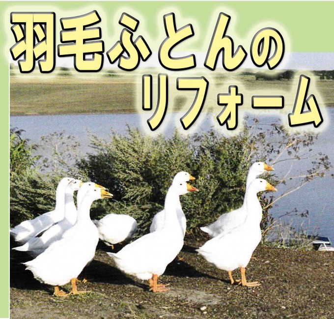 HP用羽毛リフォーム